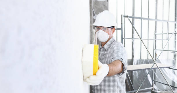 Best Basement Mold Removal  in USA